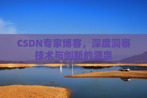 CSDN专家博客，深度洞察技术与创新的源泉